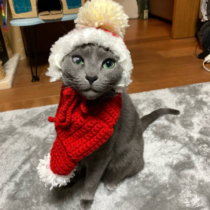 C8427dd8 360a 408f 9e69 b4feeb7ab6d3 1640419995799