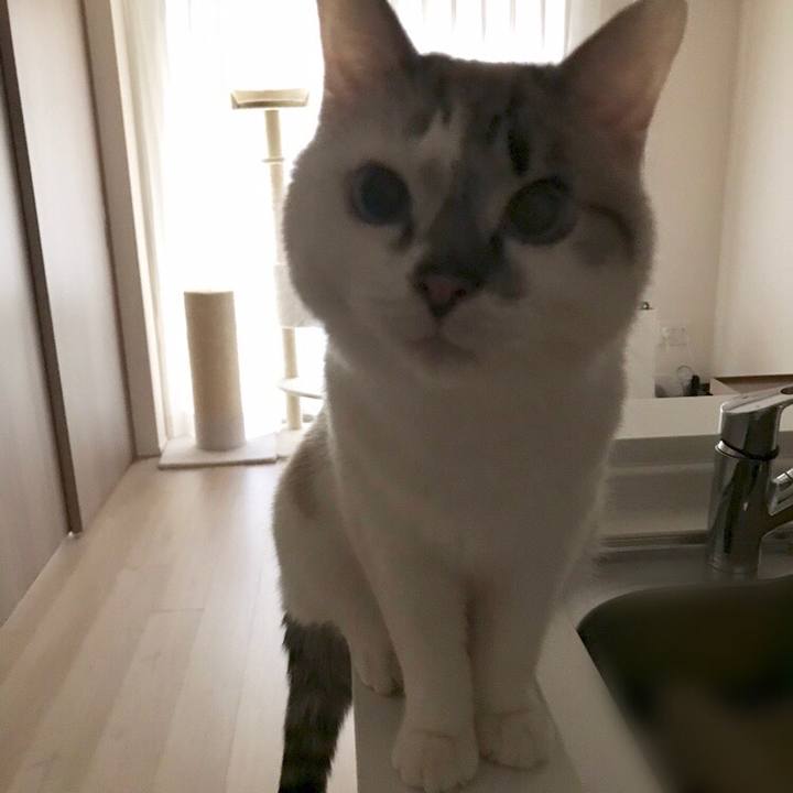 C842b127 878b 4194 9257 cbb58f1632f8 1517437193736