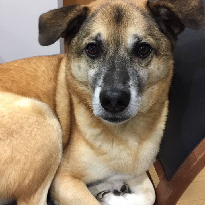 C842c9f7 f49e 4541 a51e 62dfde5a56fc 1508758037046