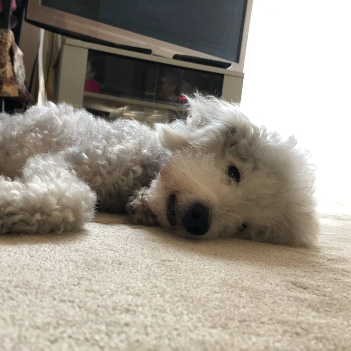 C842e8ce 1a19 4b74 884d 633b0638c17a 1626390560360