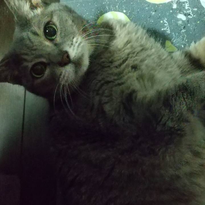 C842fd9a fb01 4bd1 a88e d20fd9c04ea7 1665656556554