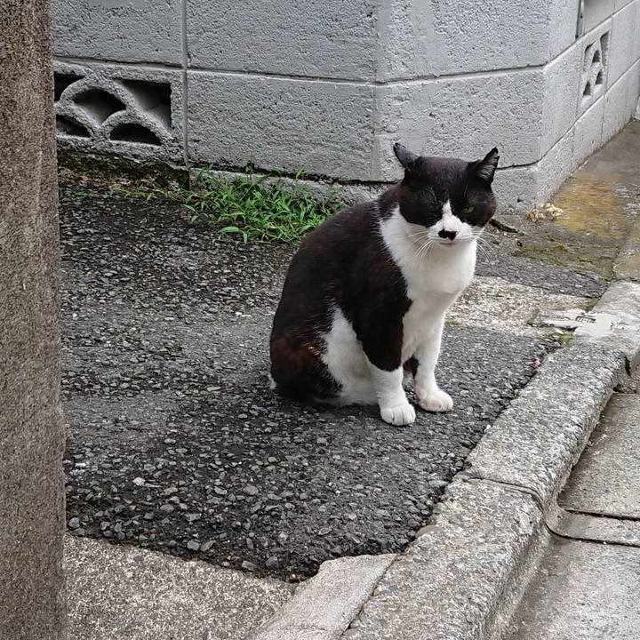 C84377d1 2c79 481c 8e3f 94d19d4a41db 1657068050416