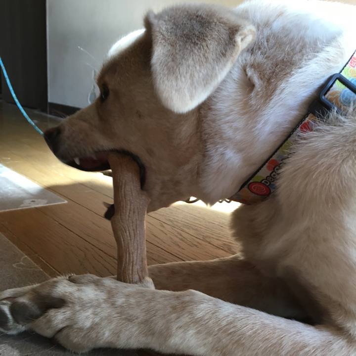 C84380f0 d327 4120 9503 08df09c0ef28 1515898126539