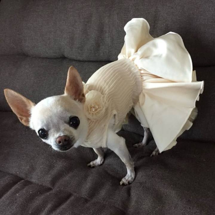 C84389c2 95da 4188 9bad 99caf9b231c3 1763859730121