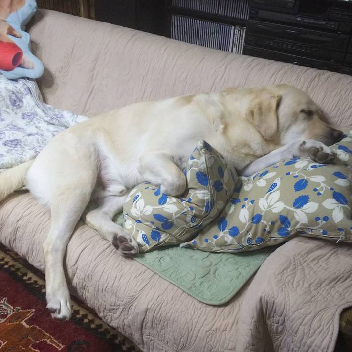 C843d37c ab34 4fa2 a710 d9bd84dcb1df 1568452041357