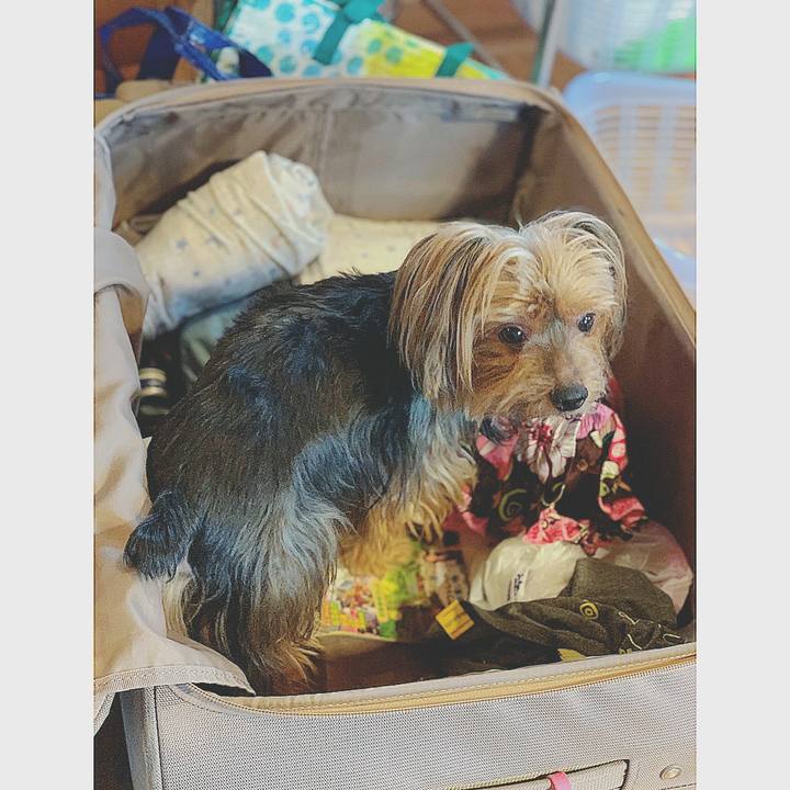 C843d5fc 26c4 4769 8153 e0d26c2c0352 1556781038765