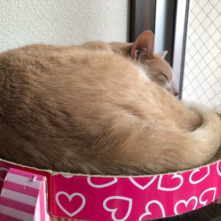 C843dbf5 39a5 496b ac4a 93daebf5dfb6 1527329907545