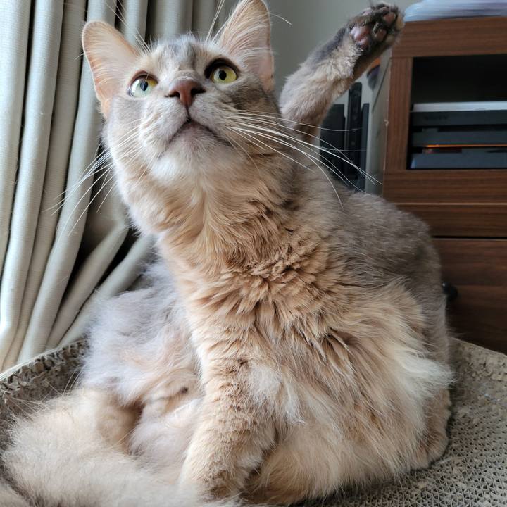 C844007d fa9a 45dc 833f 6ed71be08296 1656758332073