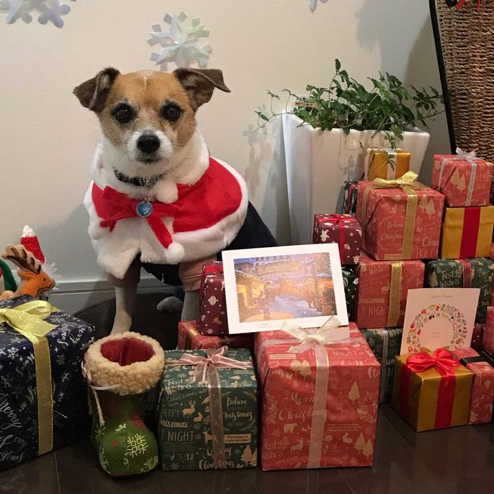 C8441f8a 6b81 4e37 8db9 5eeb0d64bbd8 1545663662228