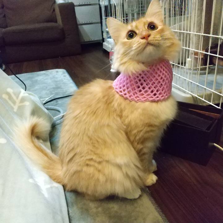 C84420b2 b566 4486 aff0 034454b25d81 1644751749424