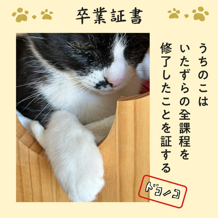 C84422c8 1395 42c4 a255 97db2234b49f 1772430347140