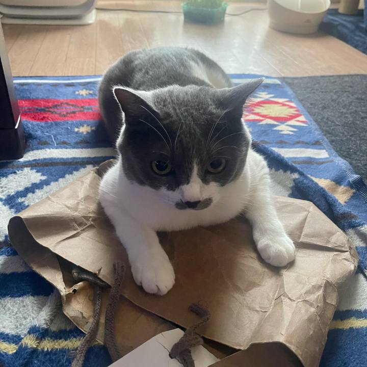 C8443b0c a457 4923 9957 98f35d53e844 1688335952113