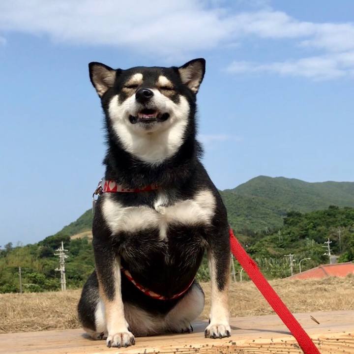 C8449e7c 8d09 4a61 8b14 f561f621e898 1521940412181