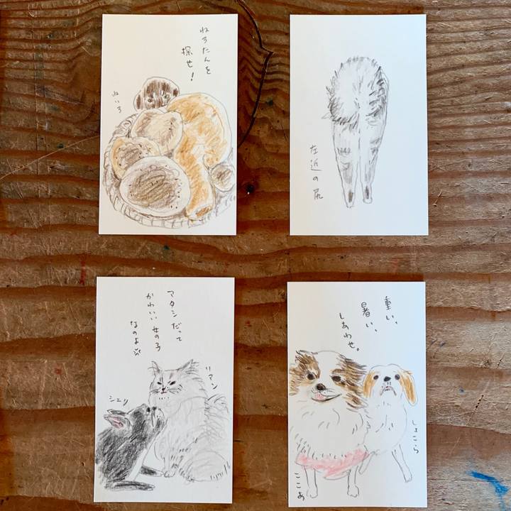 C844dded 7662 47a1 9fa4 0c7f9ca98f4d 1602640506655