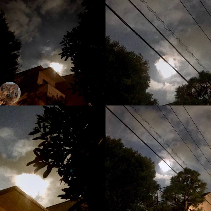 C844e2e3 0ecb 4513 8955 61e31fcedb96 1537794417786