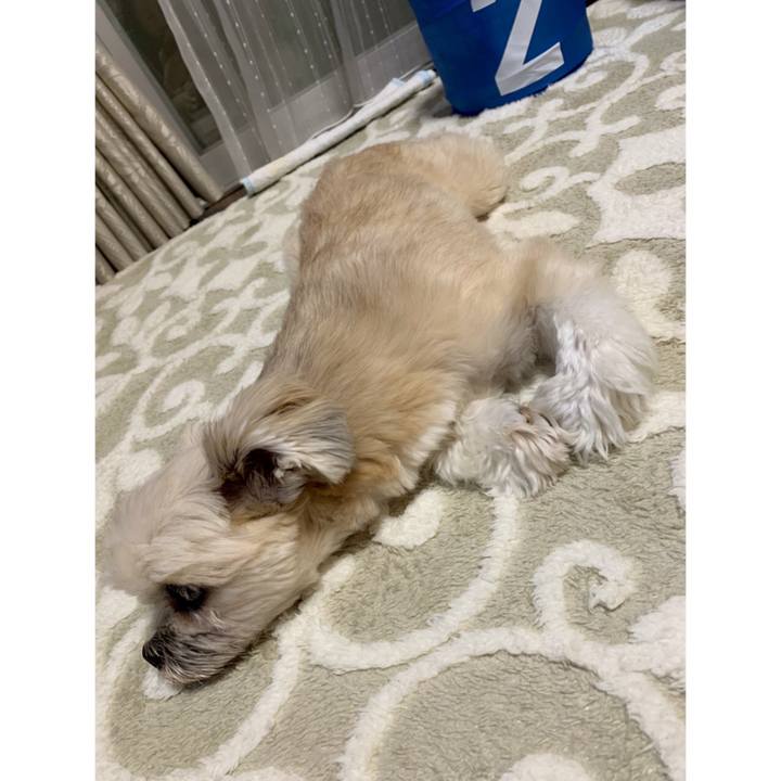 C84507b7 cf03 49e1 accc f86662a9fbb2 1551875505635