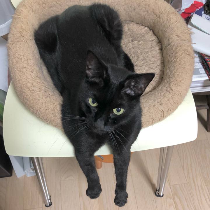 C8451d77 5791 41a6 b5dc 7dfdb26d689c 1635250952144