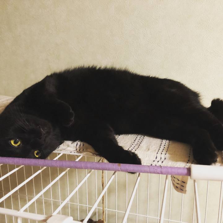 C845211b 1bcb 4d5f a82a 234f2de3227c 1530968288333