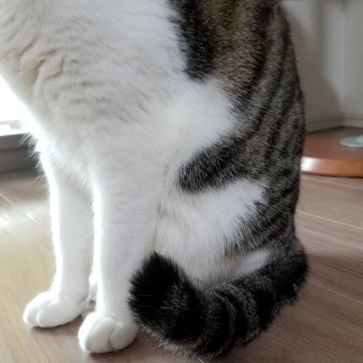 C845262f 6b42 4c1d a05f 28b94e443557 1567212126254