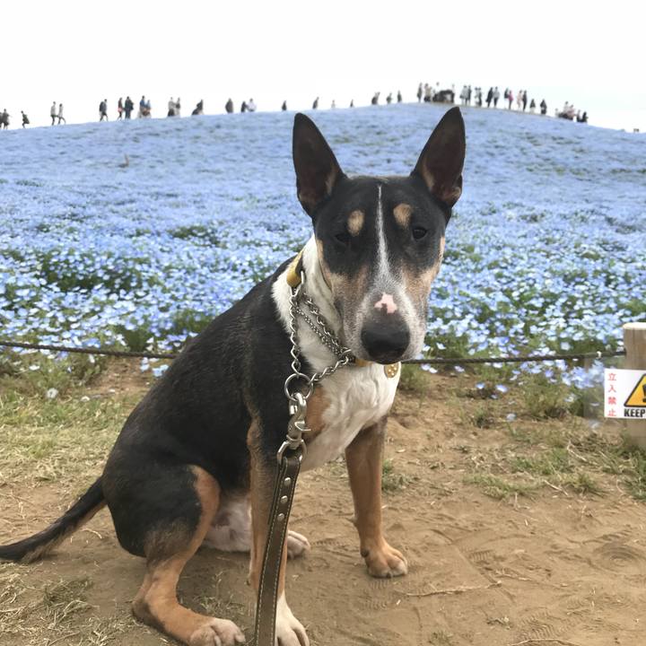 C8457033 c972 4af1 b798 9b40dc265900 1523755120237