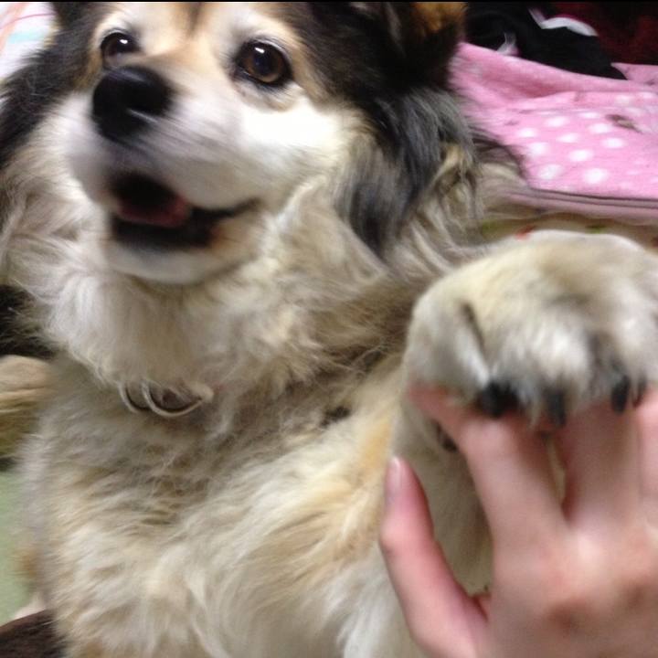 C8457bf0 4ae0 4771 ad54 7fa90d388e3c 1549341498613