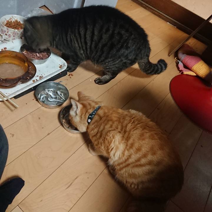 C845a43c b216 408b 8ed6 8832894a460d 1639650609652