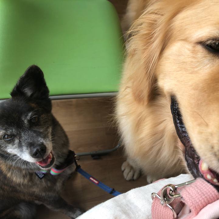 C845a94d 996e 448e a4cb a224fbe1be79 1662424717903