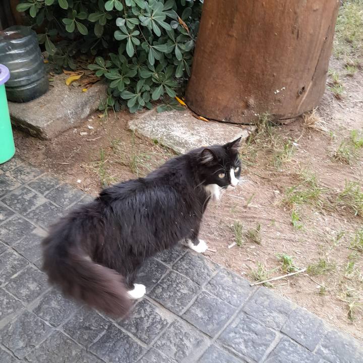 C84634c7 6488 4808 a0dd 59d3cf97678b 1768493552438