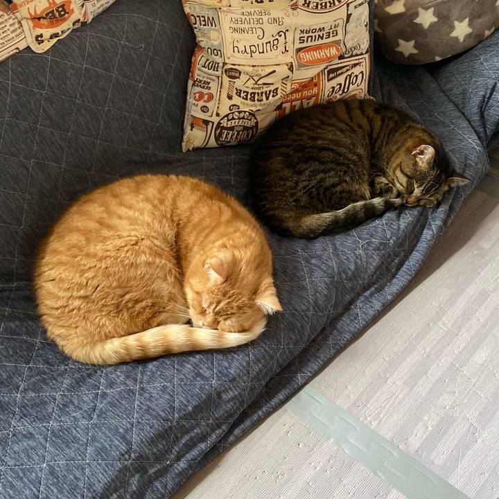 C8465bee f614 4b8f ad01 f4d7acdc7717 1652231972084