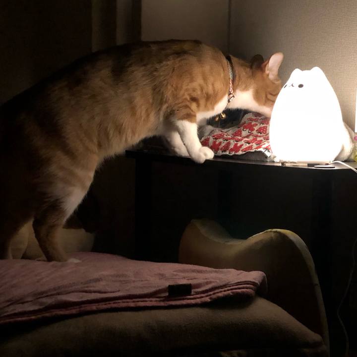 C8468d49 f233 4904 b9a5 d7d3d89fe15e 1577547778858