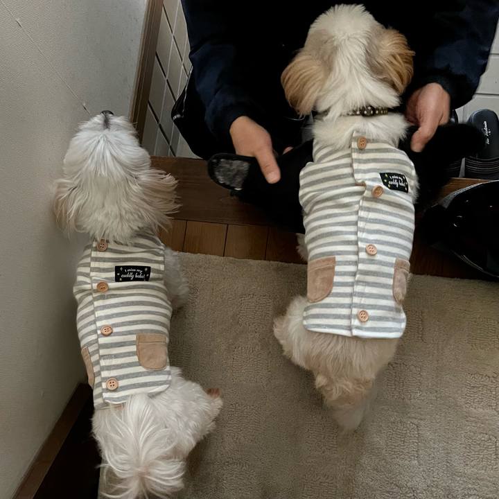 C8469ba8 9348 4304 a01e 73cf0f33e013 1667706719931