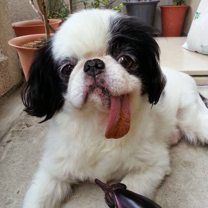 C846b876 54b1 44e7 a8a6 23dd82ec2d12 1534414107076