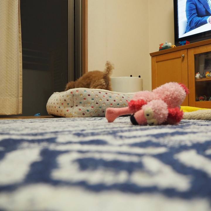 C846c003 90aa 4e48 83d2 e4d125e482bb 1558018878374