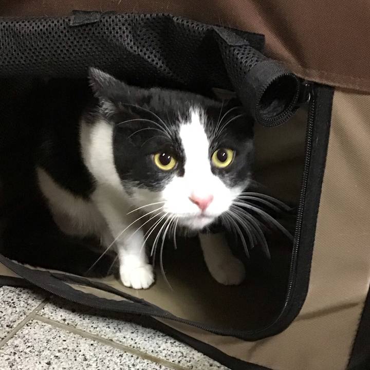 C846de59 1ce3 4e0b 954a a9afe1c9c391 1676119442131