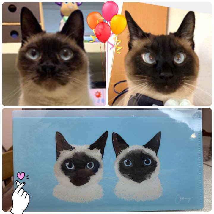 C846e903 d738 4a03 b84f 9c771b8a9494 1602255115245