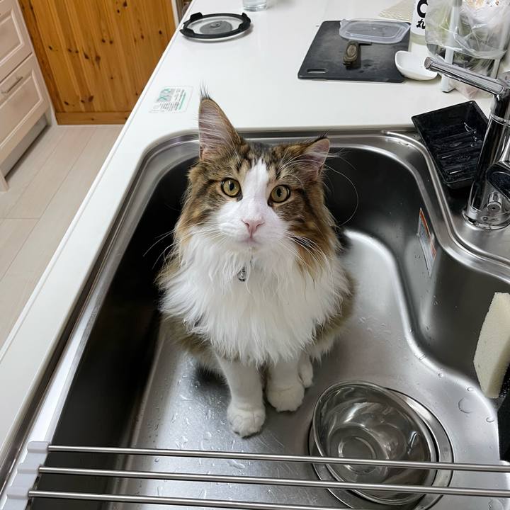 C846f73b 758a 4dd9 997e 8d88bc0b82d7 1644229099152