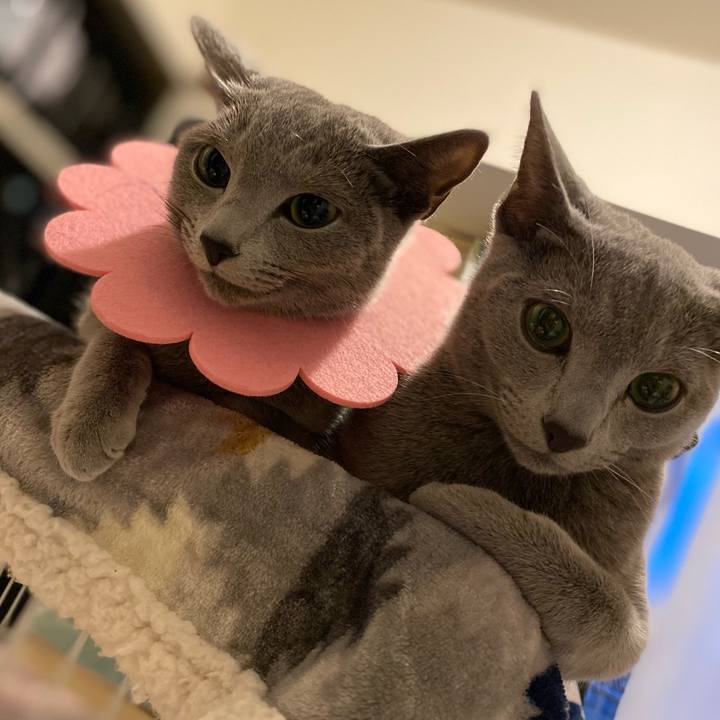 C846fc44 0db7 44a8 9928 114aafac6300 1609974278611