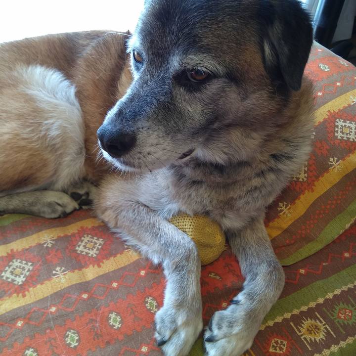 C8471260 af09 4998 b077 231229e0df16 1568080013800