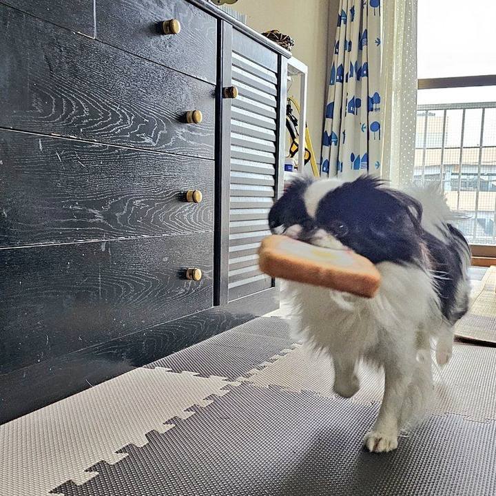 C8473346 8ab1 47ef 9bd1 f539e5b3b58d 1700199236461