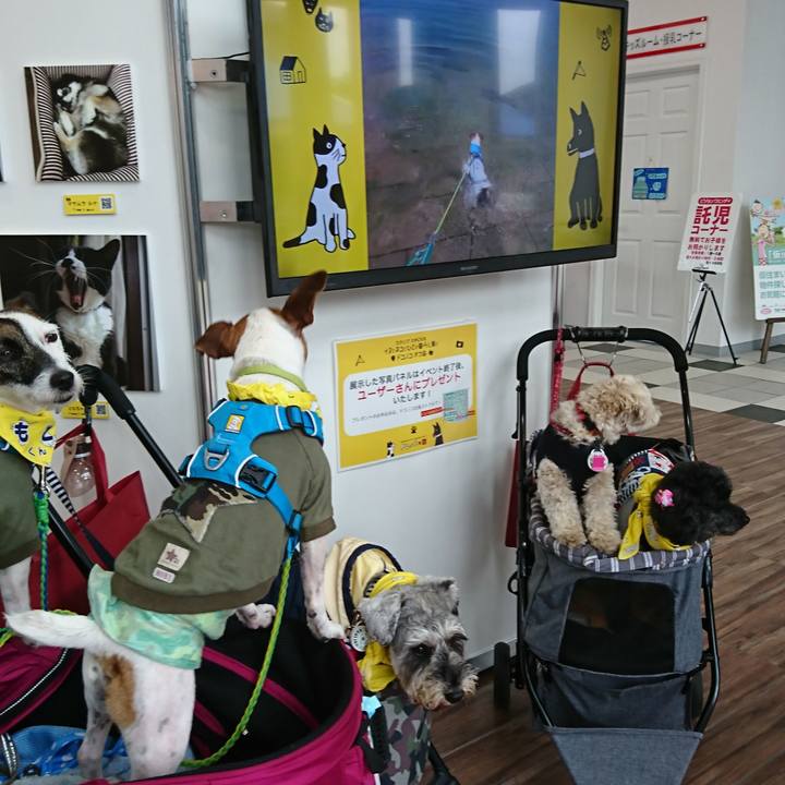 C847c3ac 6599 4436 bb3f b537dff1f68a 1560045749056