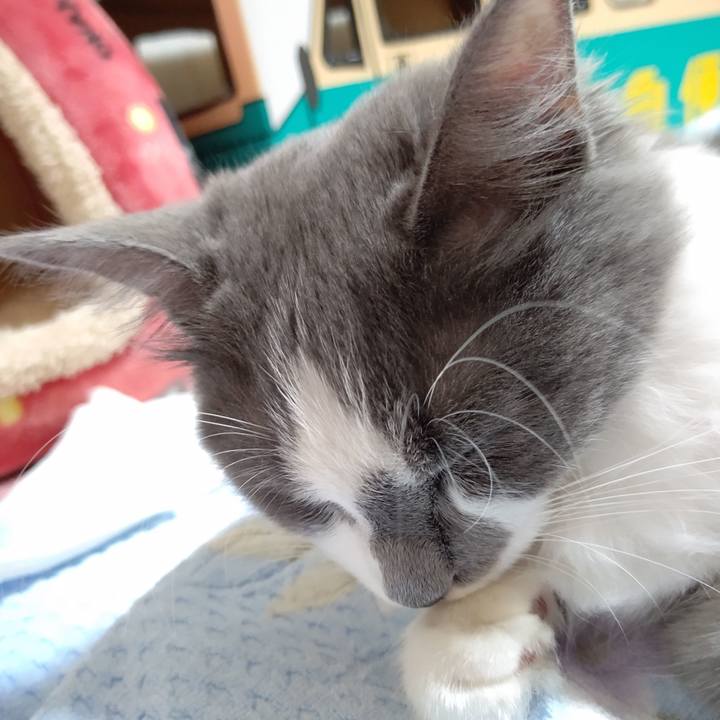 C847de5f 0123 43fb 83c2 6679acecb701 1571007237845