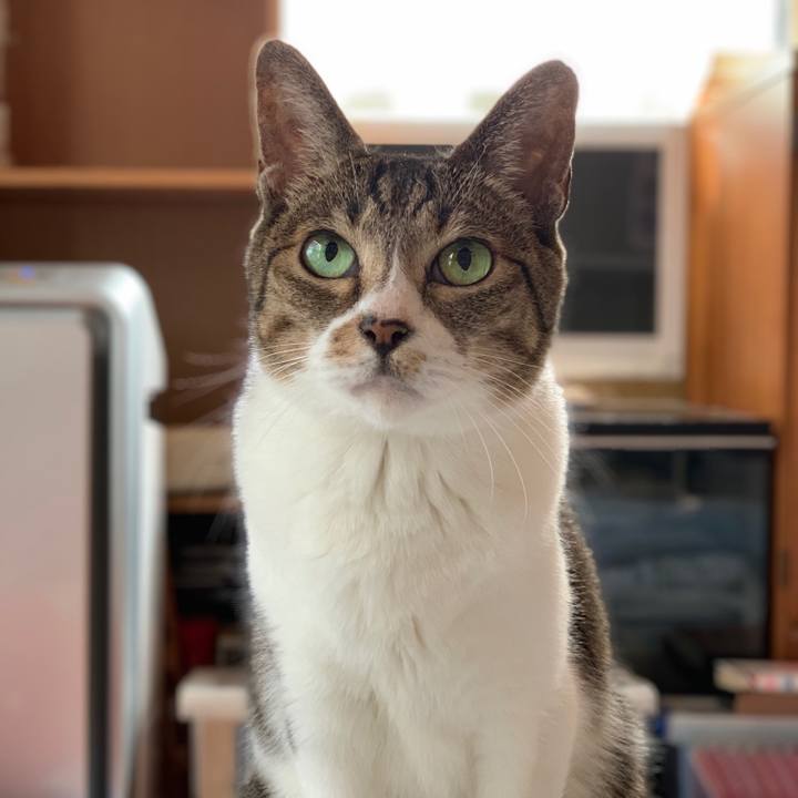 C847e687 d888 4068 8886 7c4cd73d415e 1539998842585