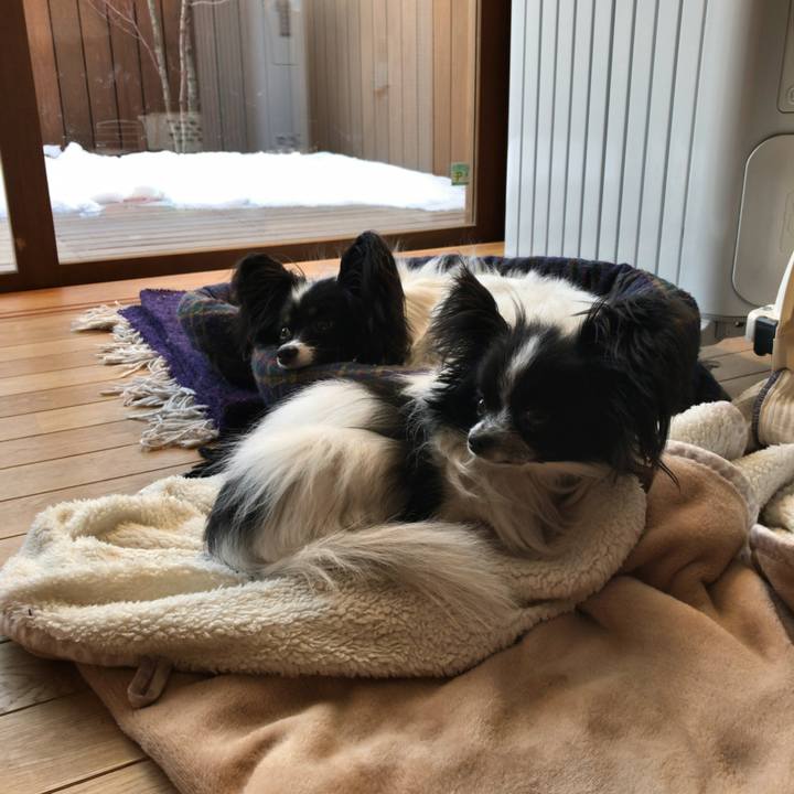 C8480779 9d50 472b 8905 0c361ff83699 1516923279660