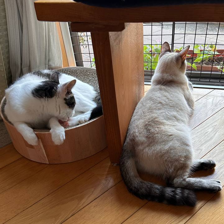 C8482088 acda 42ce 9d33 102ed92aafa0 1756848625189