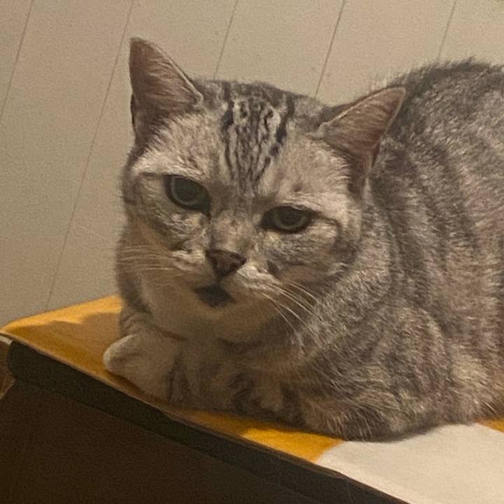 C84875f6 7310 4e41 b27f 381a44714713 1753192512442