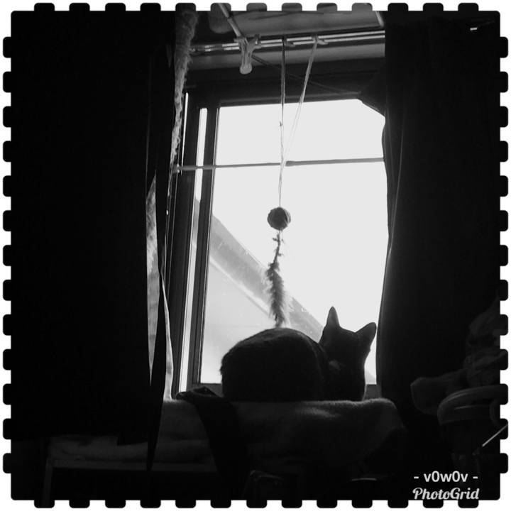 C848b278 0541 45d8 a624 20ba3a3745d9 1543897217955