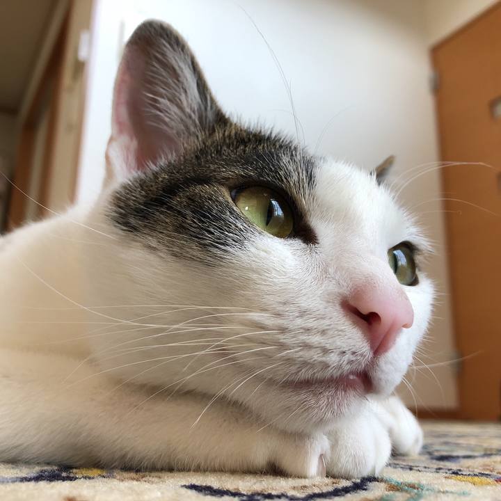 C848b7a9 1f31 49aa 8ddd 8aec8c5728c9 1623460275322