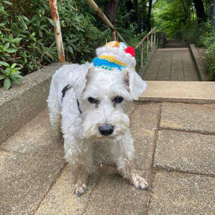 C848dcd7 eab4 4f17 a838 65cbe39fcba3 1785749329437