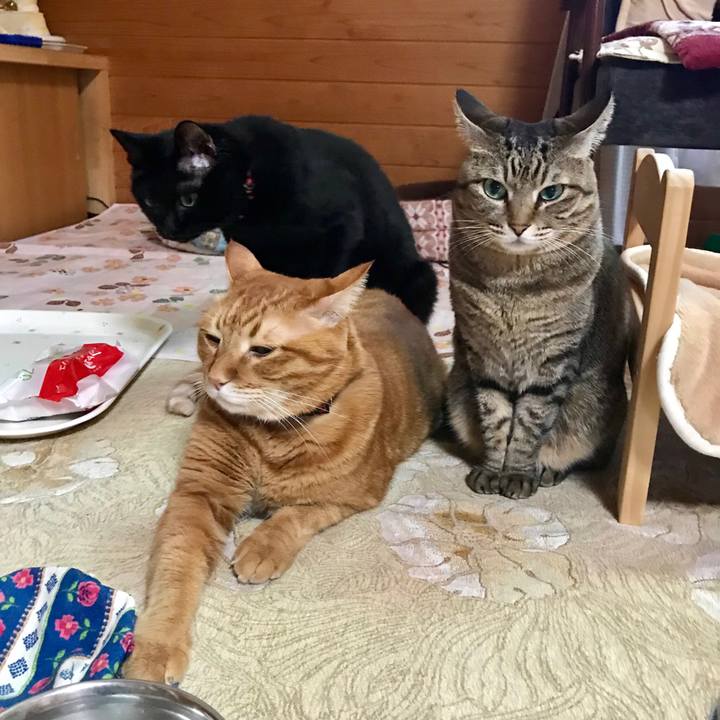 C848f489 c1db 4bb8 b108 1ea837985c3a 1541893947715