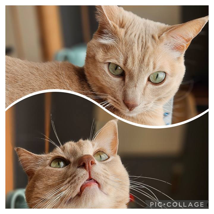 C8490c16 0411 4f63 bf44 3a88afc5d129 1735697103249